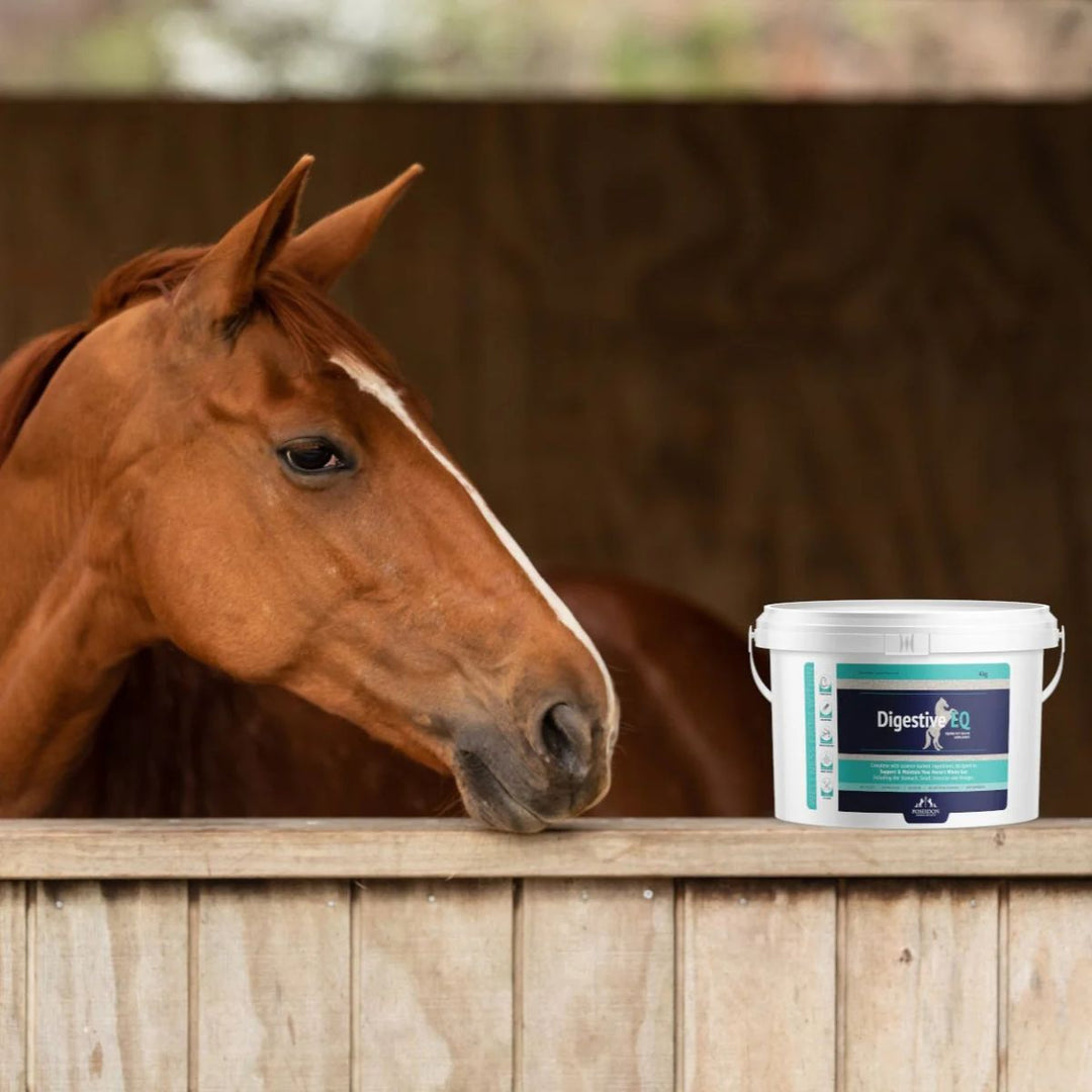 Equine Health Supplements - Canterbury Saddlery