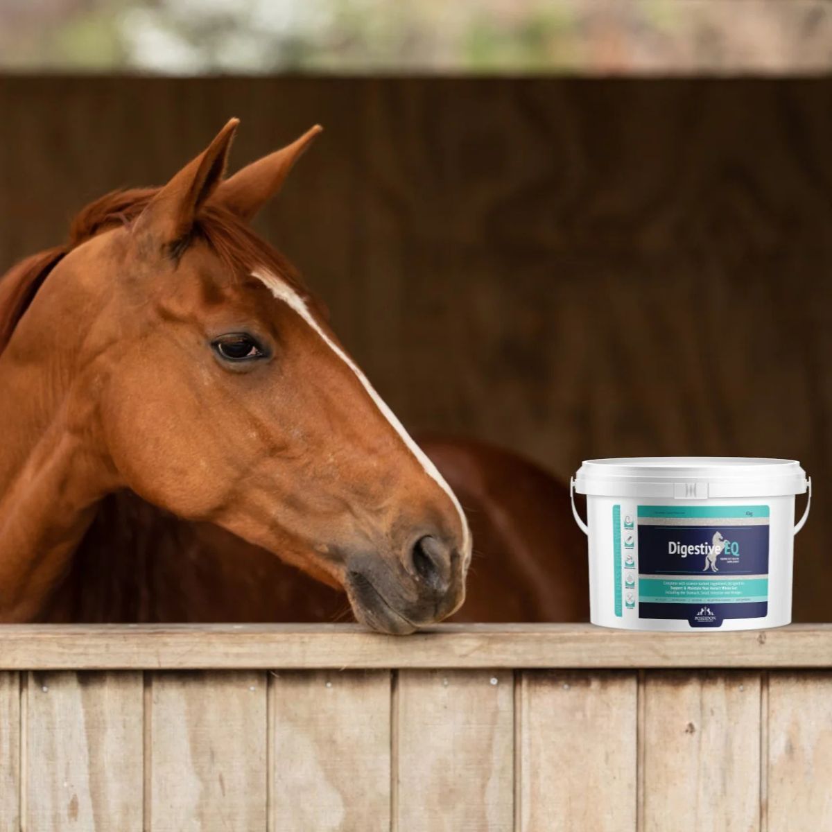 Equine Health Supplements - Canterbury Saddlery