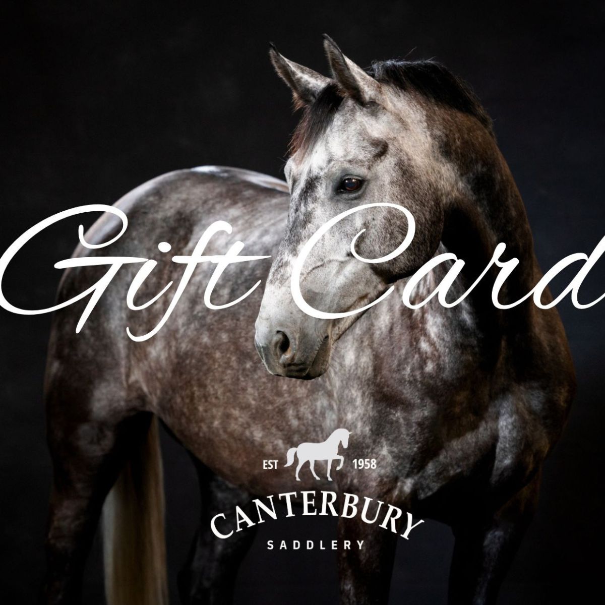 Gifts & Vouchers