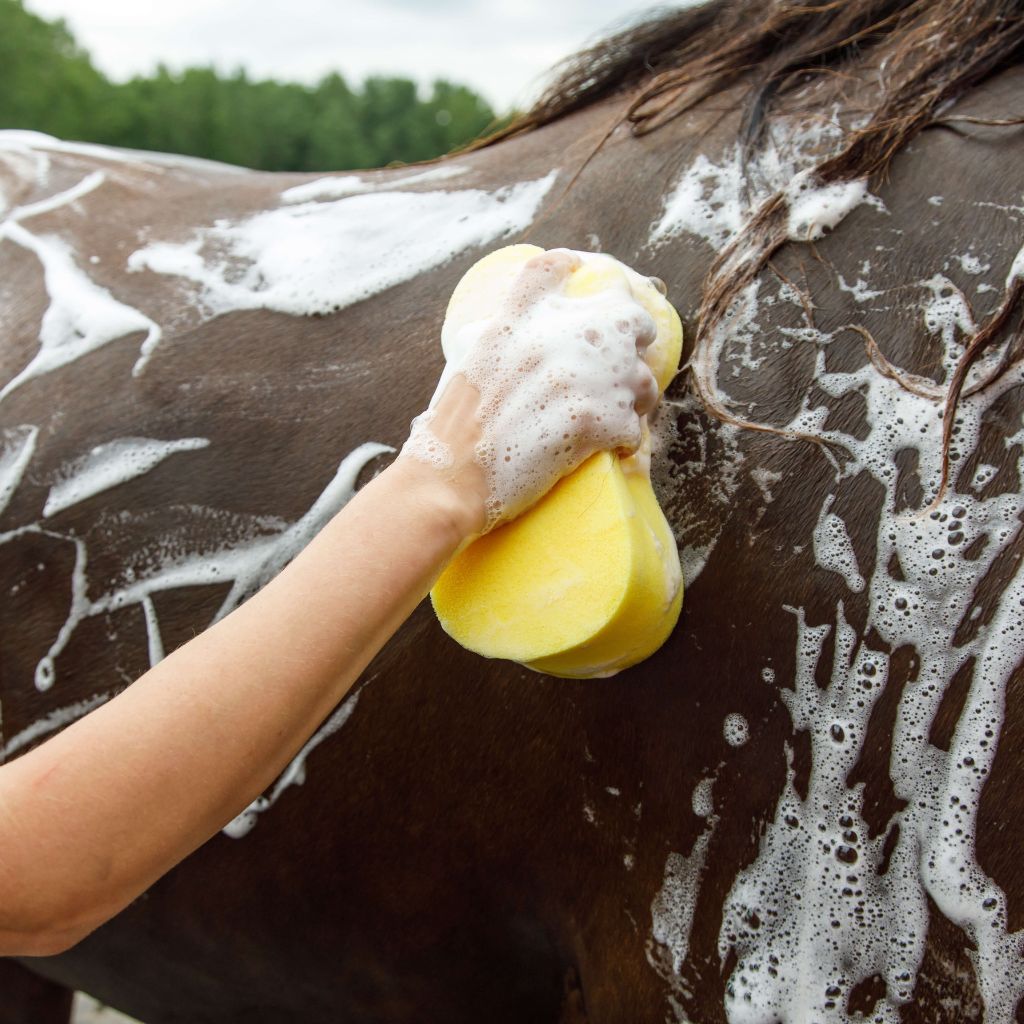 Washing, Oils & Sprays - Canterbury Saddlery