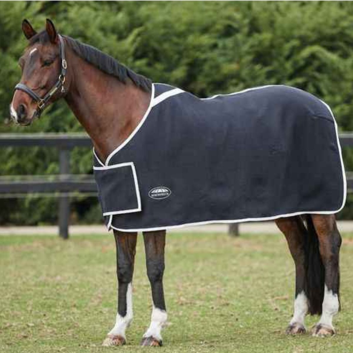 Show Rugs - Canterbury Saddlery