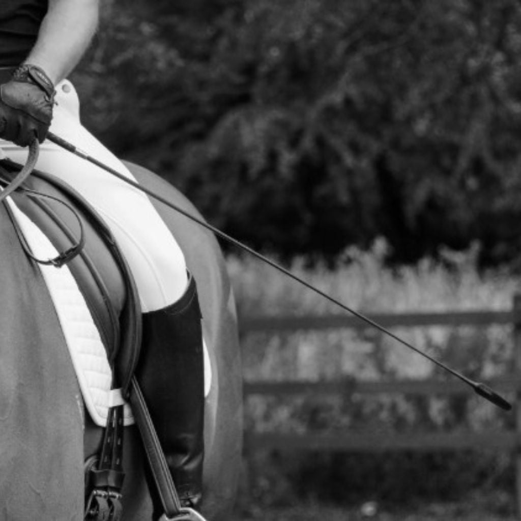 Whips - Canterbury Saddlery