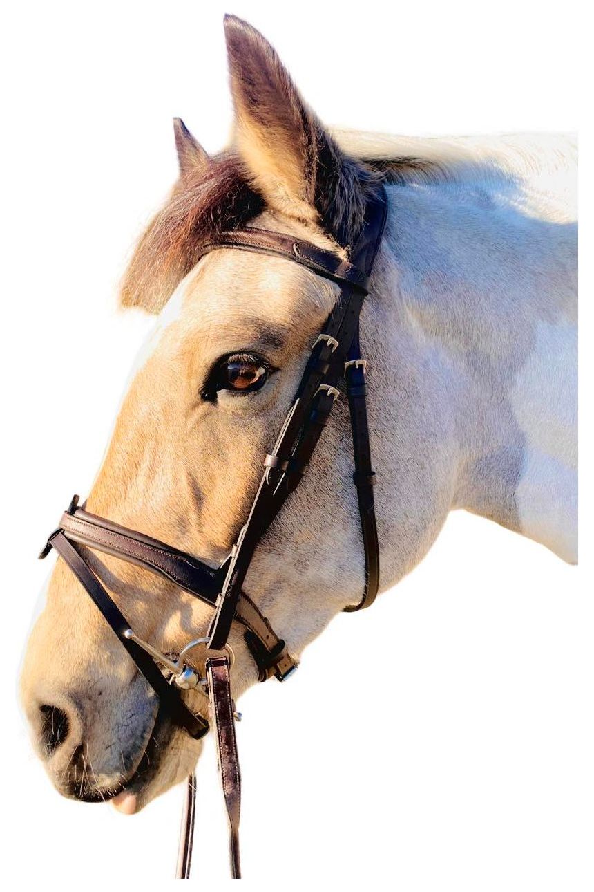 Étoile Comfort Bridle with Flat Padded Browband - Canterbury Saddlery