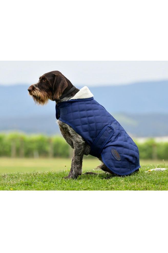 WEATHERBEETA COMFITEC DELUXE DIAMOND QUILT DOG COAT - Canterbury Saddlery