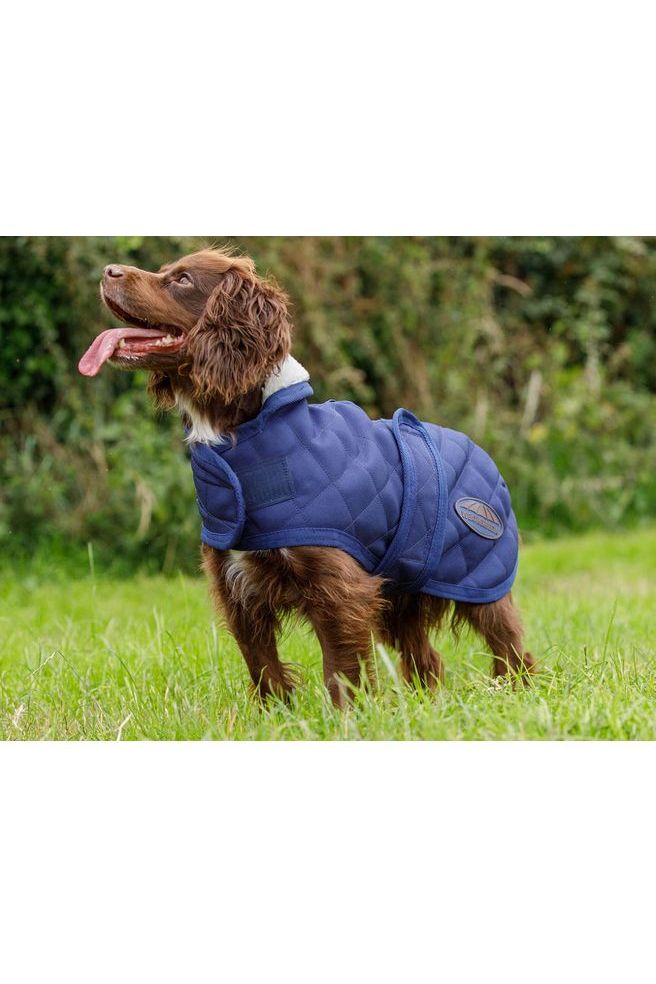 WEATHERBEETA COMFITEC DELUXE DIAMOND QUILT DOG COAT - Canterbury Saddlery