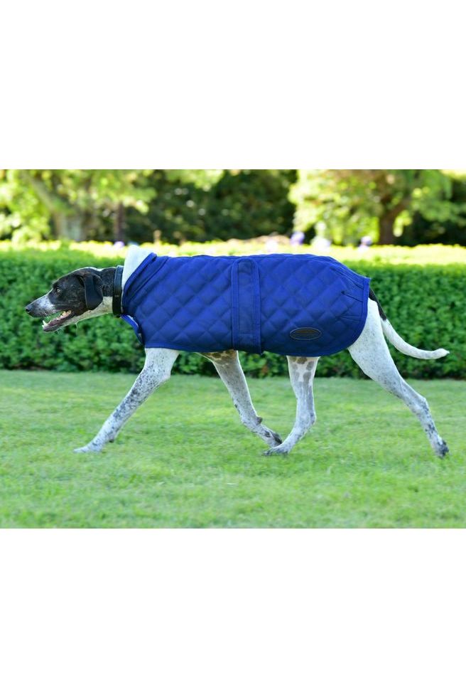 WEATHERBEETA COMFITEC DELUXE DIAMOND QUILT DOG COAT - Canterbury Saddlery