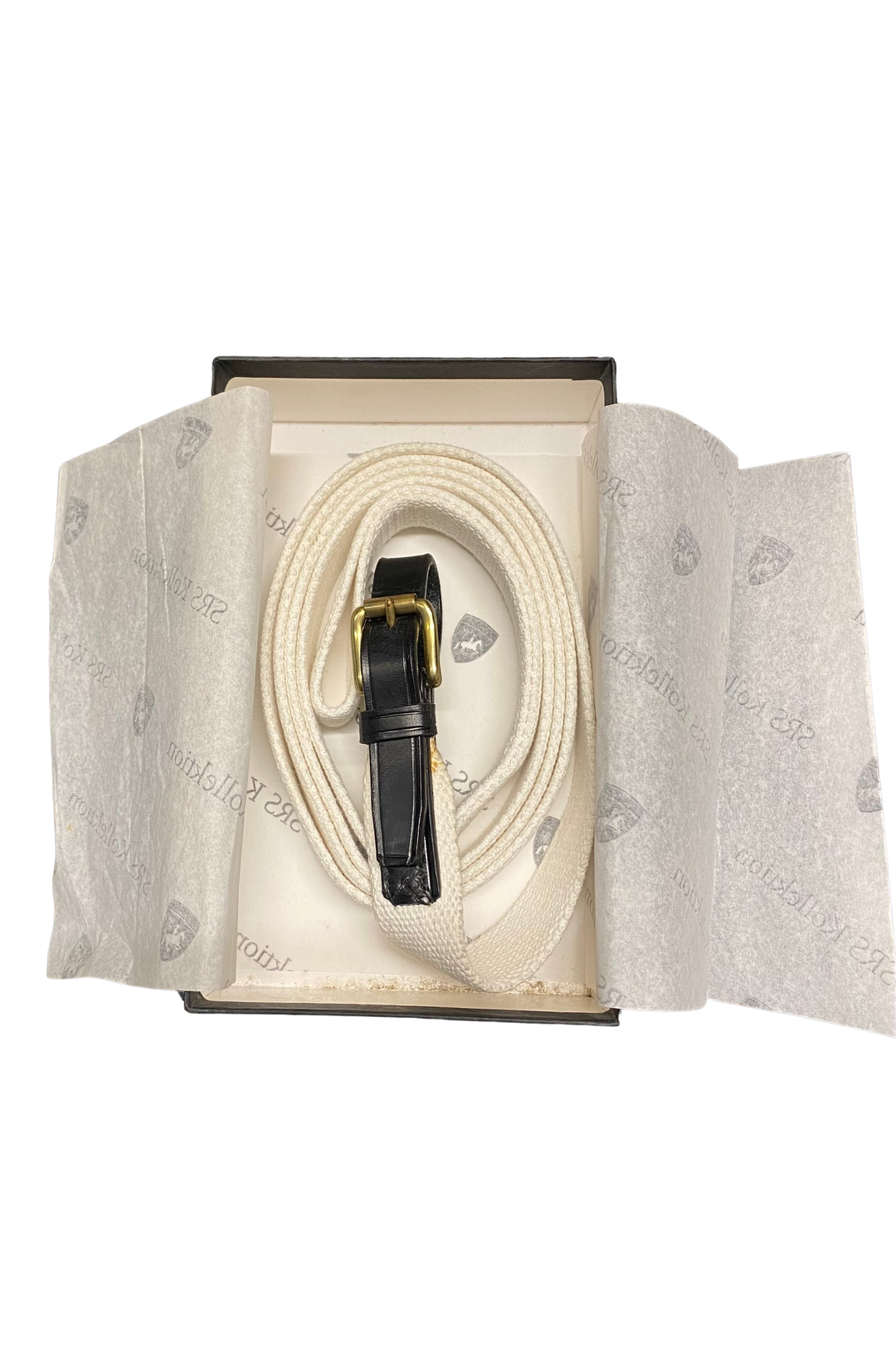 Spanish Riding School In-hand training lead