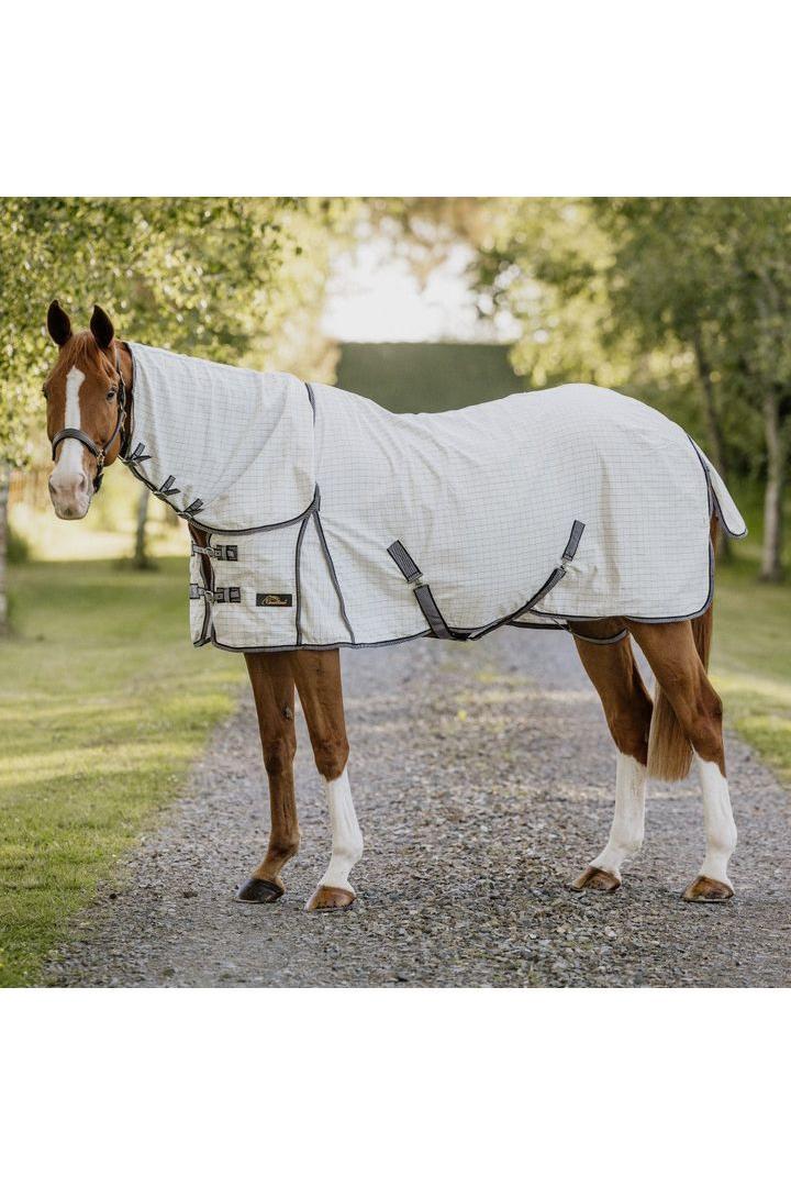 Cavallino Oxford Summer Combo - Canterbury Saddlery