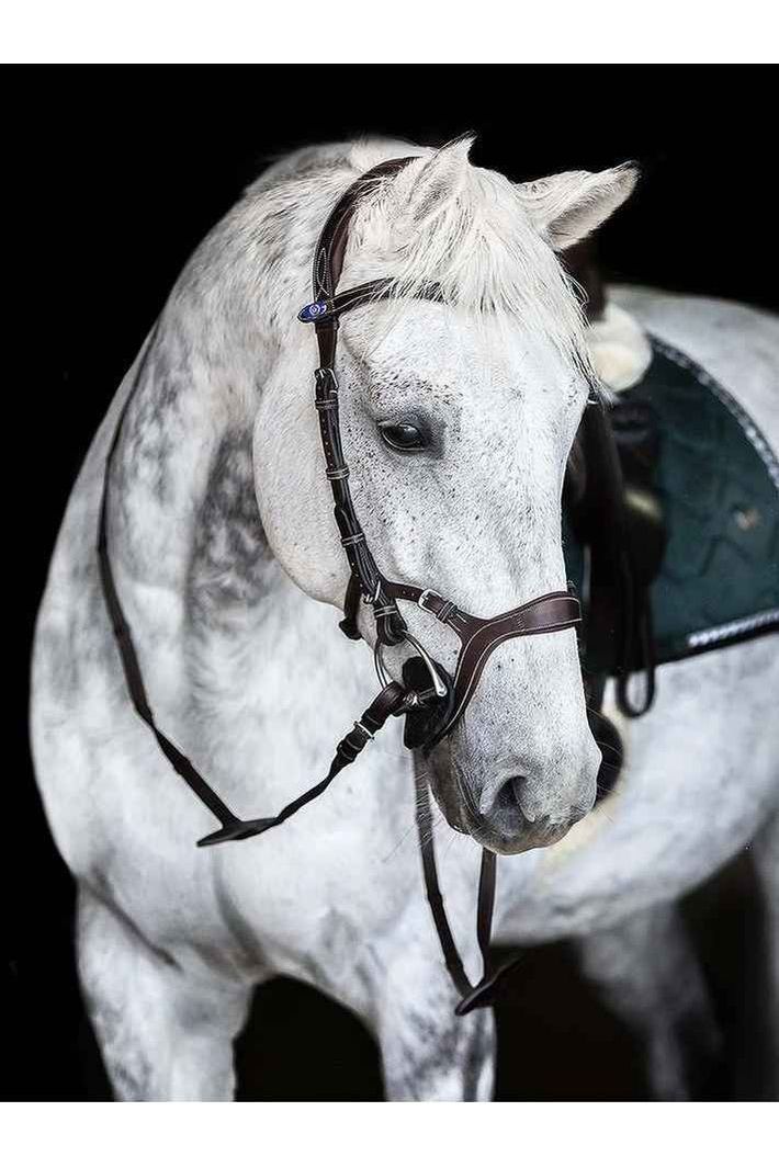 PS of Sweden - Nirak Bridle - Canterbury Saddlery
