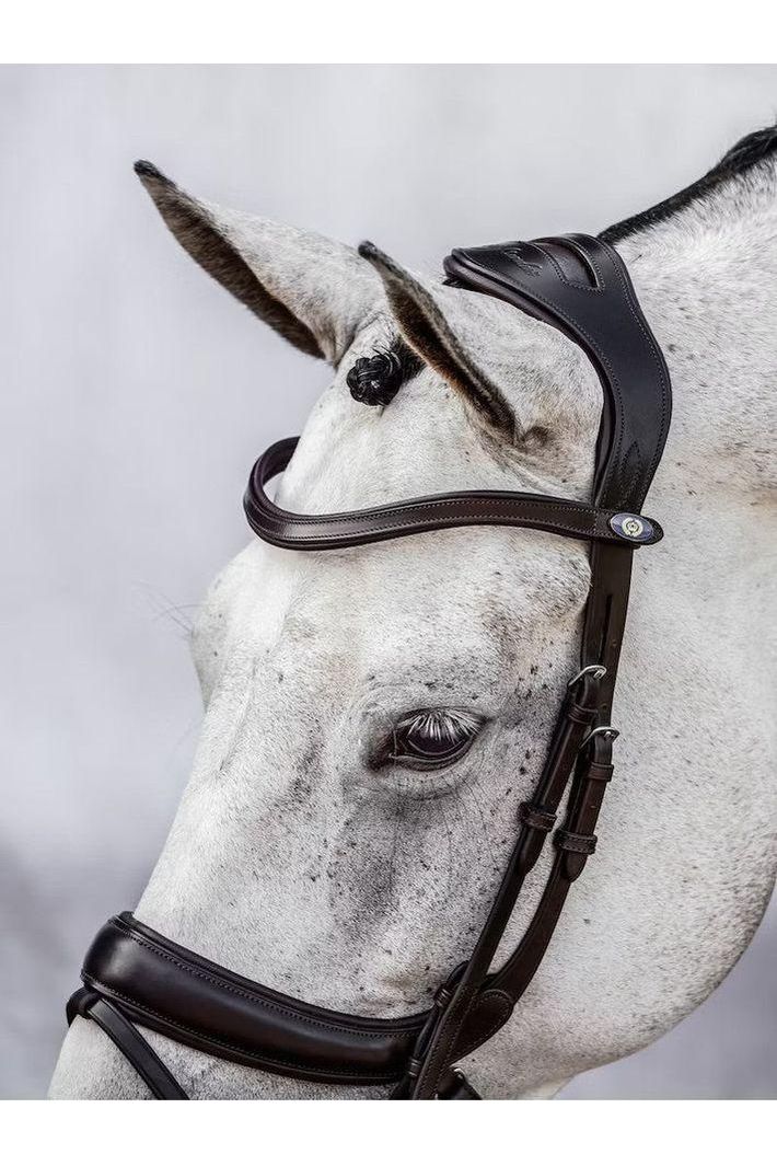 PS of Sweden Paladin Bridle - Canterbury Saddlery