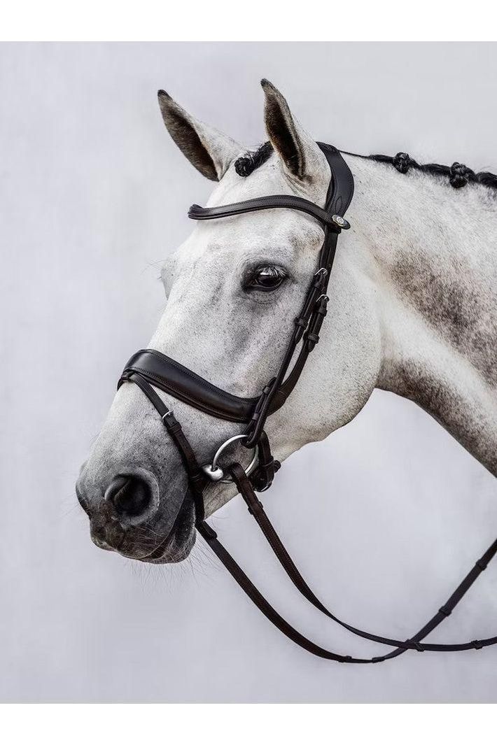 PS of Sweden Paladin Bridle - Canterbury Saddlery