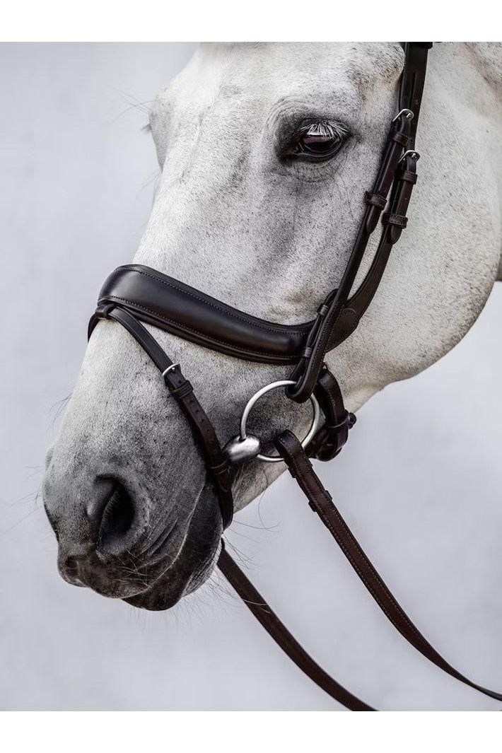PS of Sweden Paladin Bridle - Canterbury Saddlery
