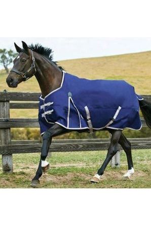 220G Weatherbeeta Comfitec Essential Standard Neck Medium - Canterbury Saddlery