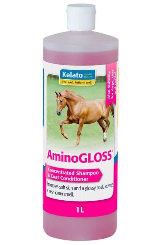 Amino Gloss Shampoo and Coat Conditioner Grooming 