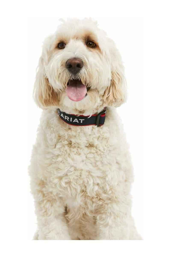 Ariat Dog Collar - Team Navy - Canterbury Saddlery