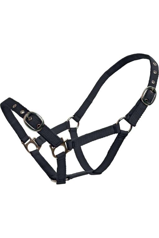 BLUE TAG WEB HALTERS SMALL SIZES Halters and Leads 