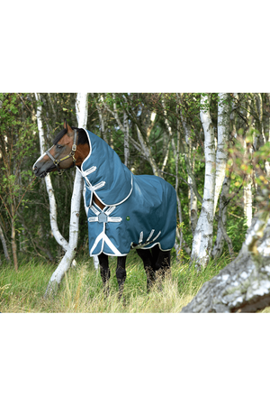 Horseware Amigo AmEco Bravo 12 Plus Turnout 100g Summer Covers 