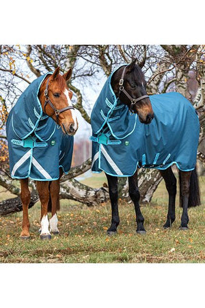 Horseware Amigo AmEco Bravo 12 Plus Turnout 250g Winter Covers 