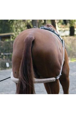 Zilco Lunge Training System Training Aids - Breastplates, Martingales, Running Reins etc. 
