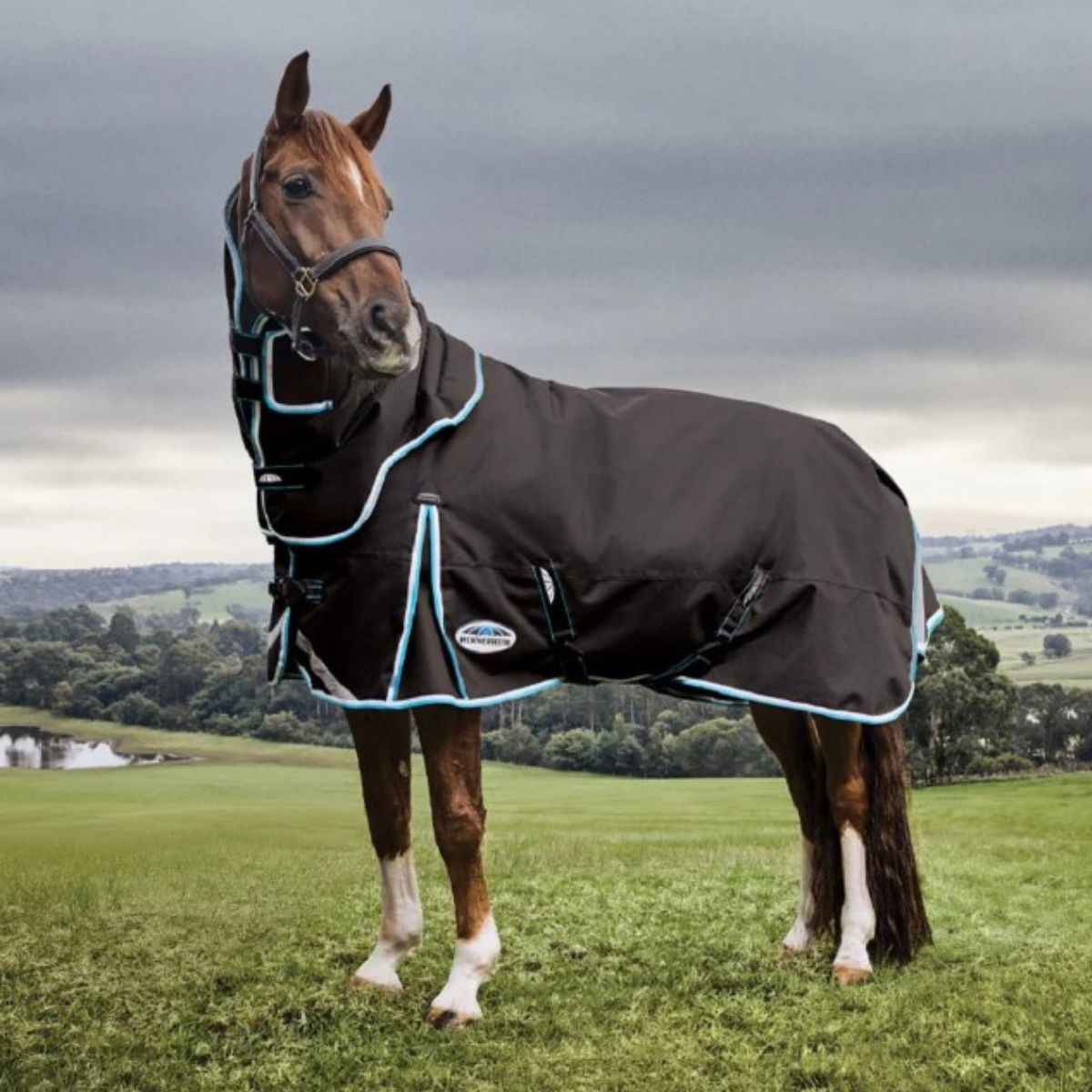 Horse Rug Fit Guide: How Horseware, WeatherBeeta & Cavallino Compare - Canterbury Saddlery
