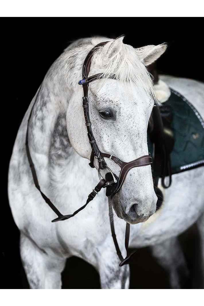 The Importance of Choosing the Right Bridle and Bit for Your Horse - Canterbury Saddlery