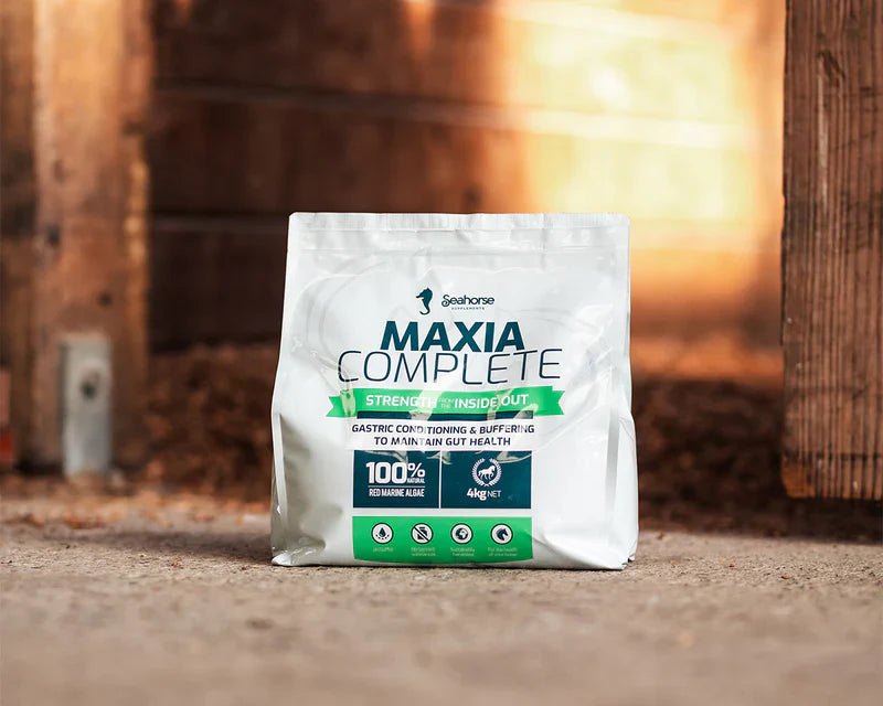 Horse Supplements Explained: What Does Your Horse Really Need?