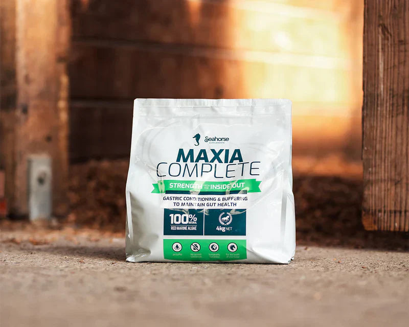 Horse Supplements Explained: What Does Your Horse Really Need?