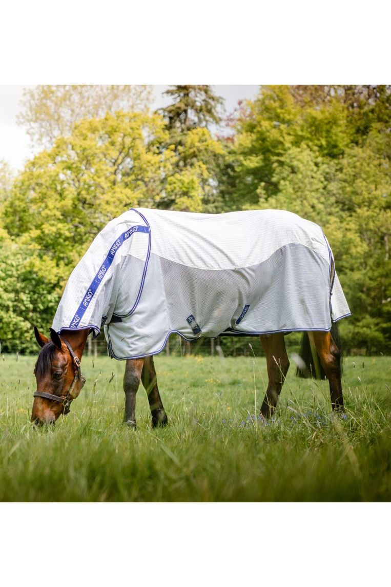 Fresh Grass: Could It Be Affecting Your Horse's Behaviour?