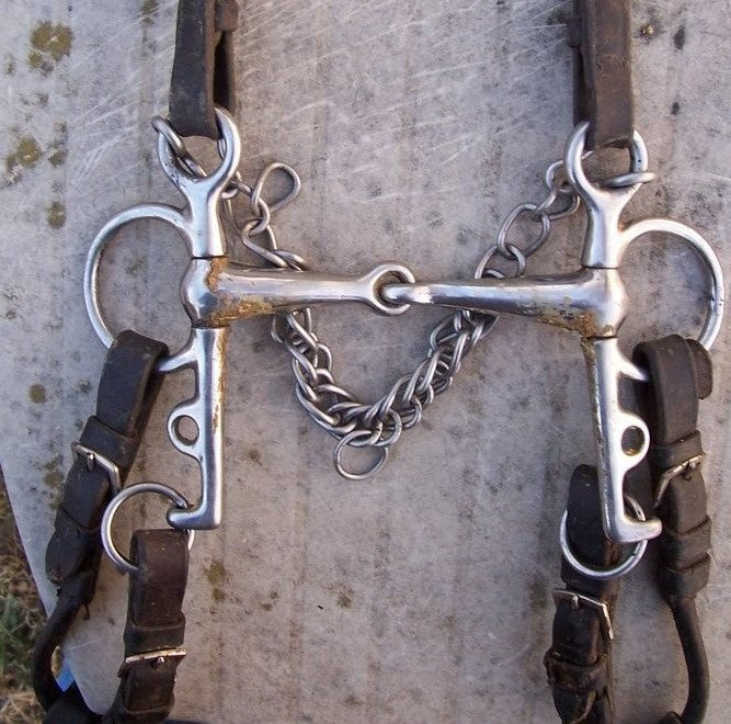 Gag, Pelham or Kimblewick? Choosing the Right Bit for More Control