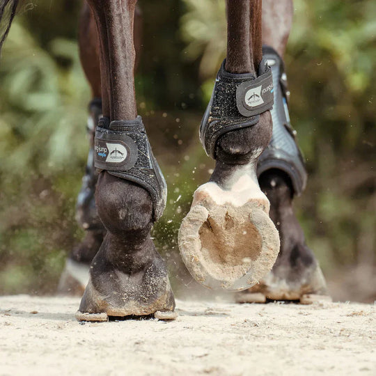 ESNZ & FEI Young Horse Fetlock Boot Rules Explained