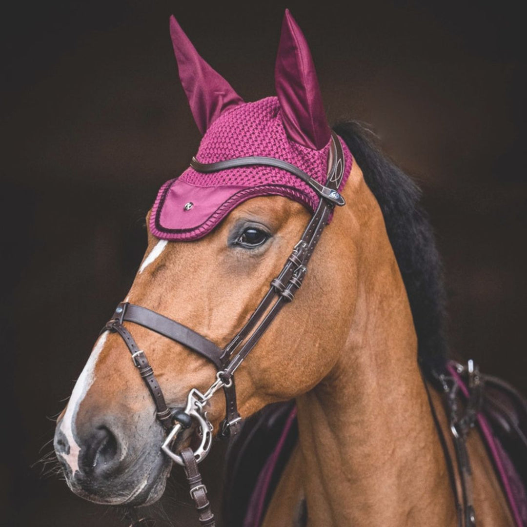 Ears & Fly hoods - Canterbury Saddlery
