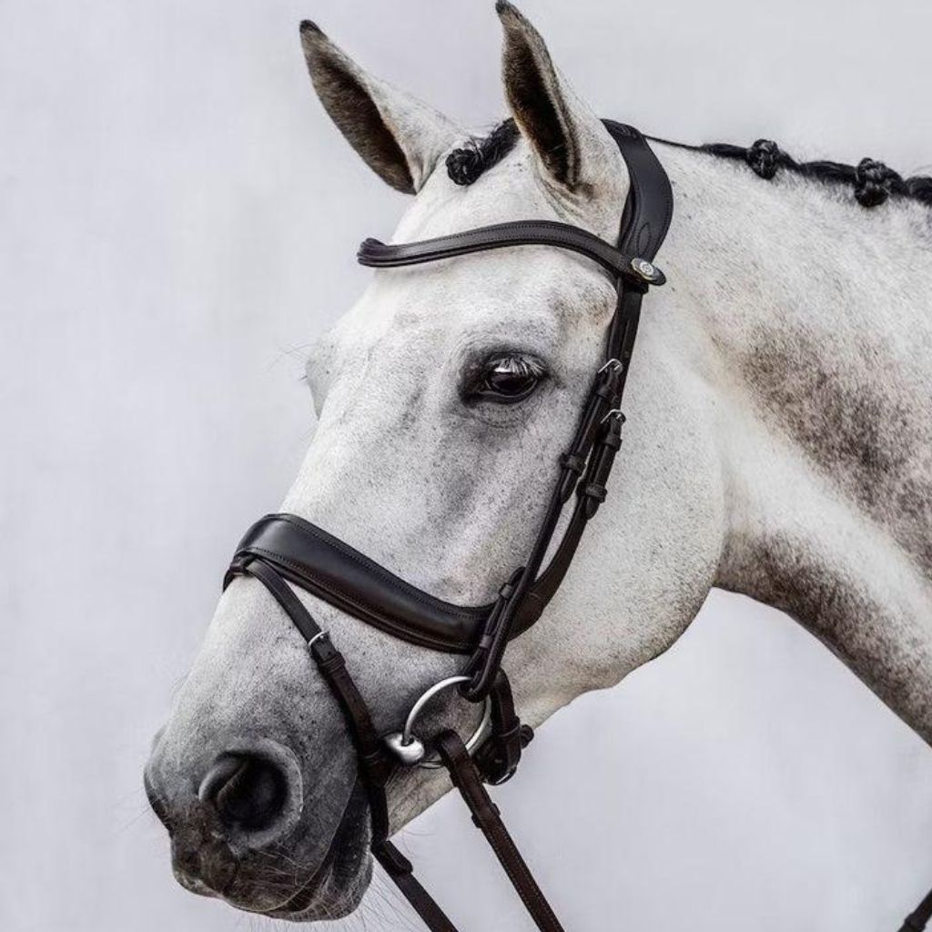 Bridles & Reins - Canterbury Saddlery