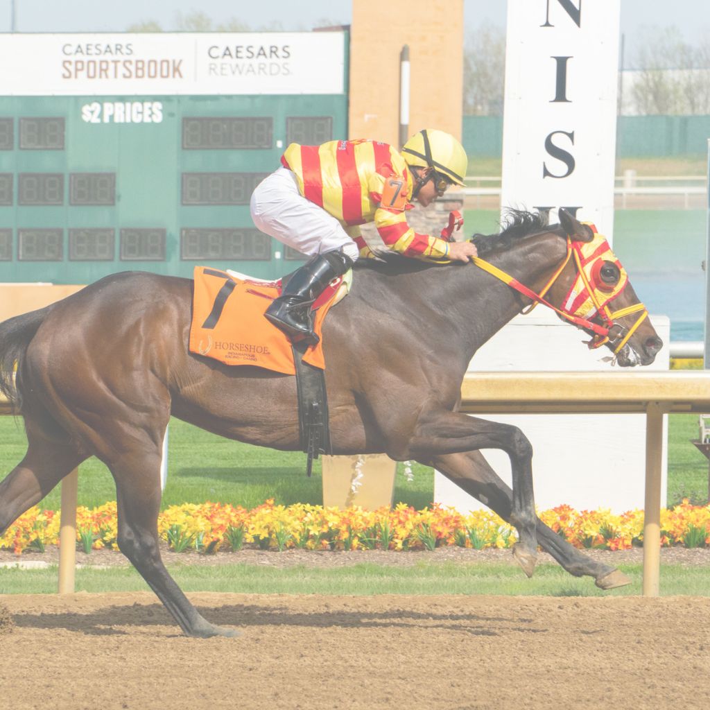 Racing - Canterbury Saddlery