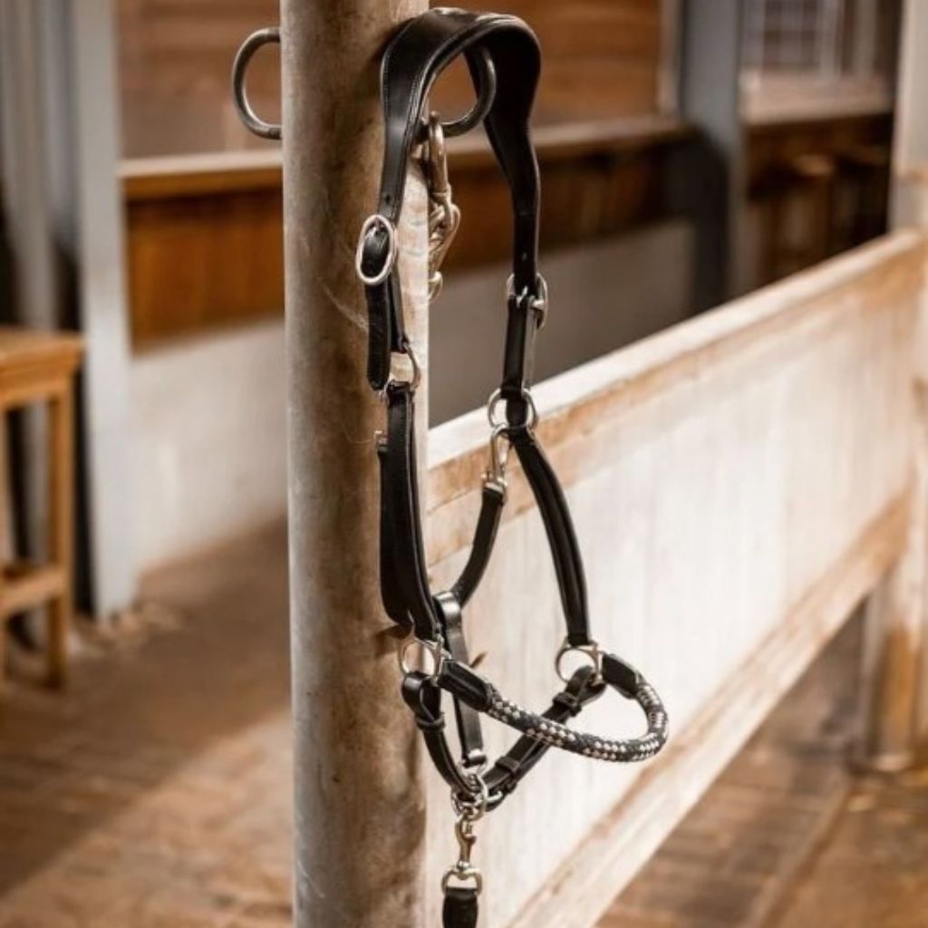 Halters & Leads - Canterbury Saddlery