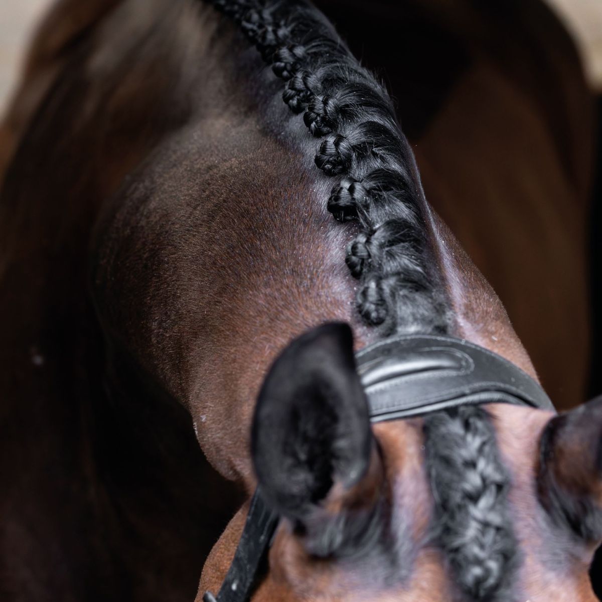 Plaiting