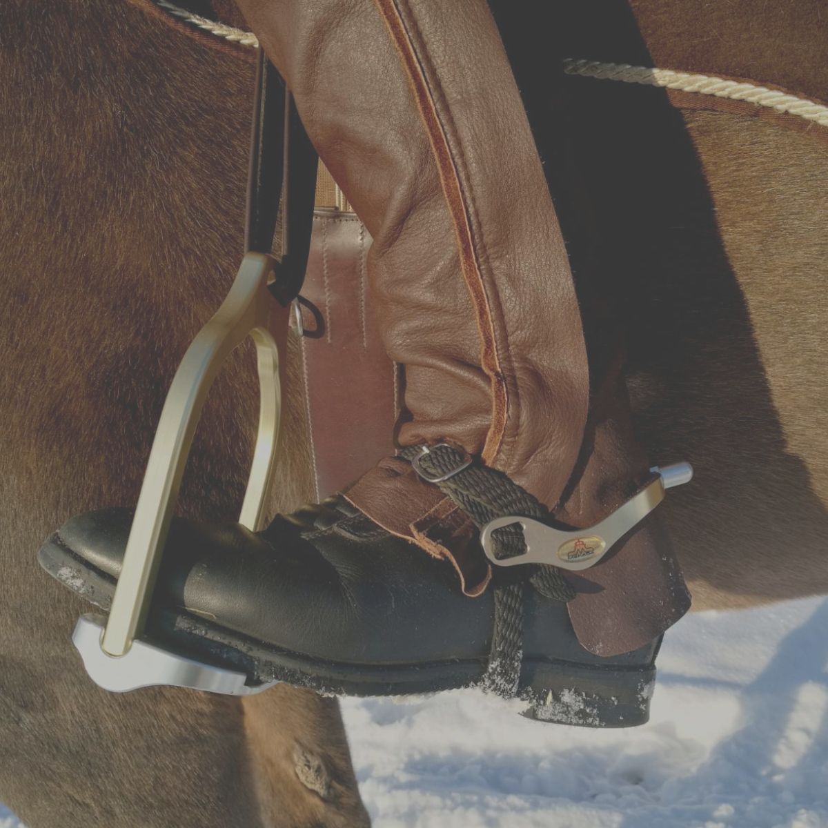 Spurs - Canterbury Saddlery