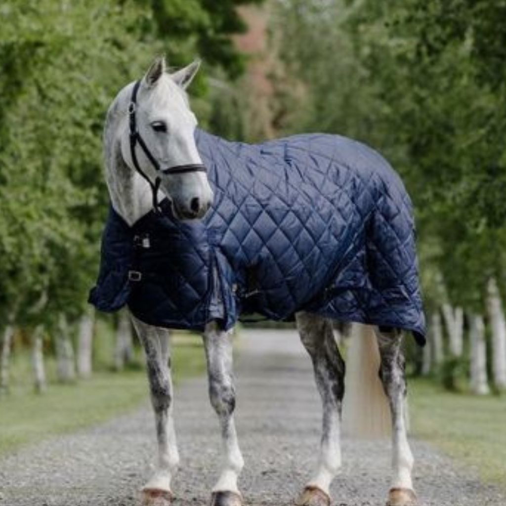 Stable & Under Rugs - Canterbury Saddlery