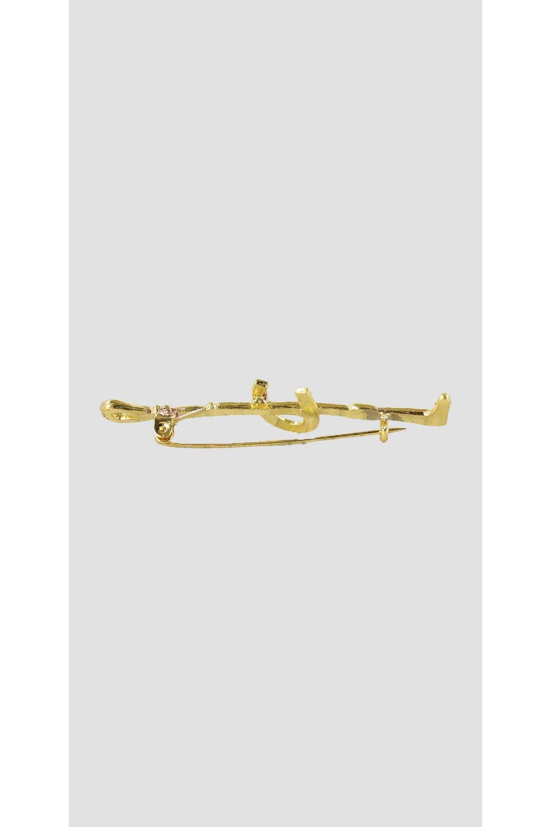 Gold Horseshoe Stock Pin