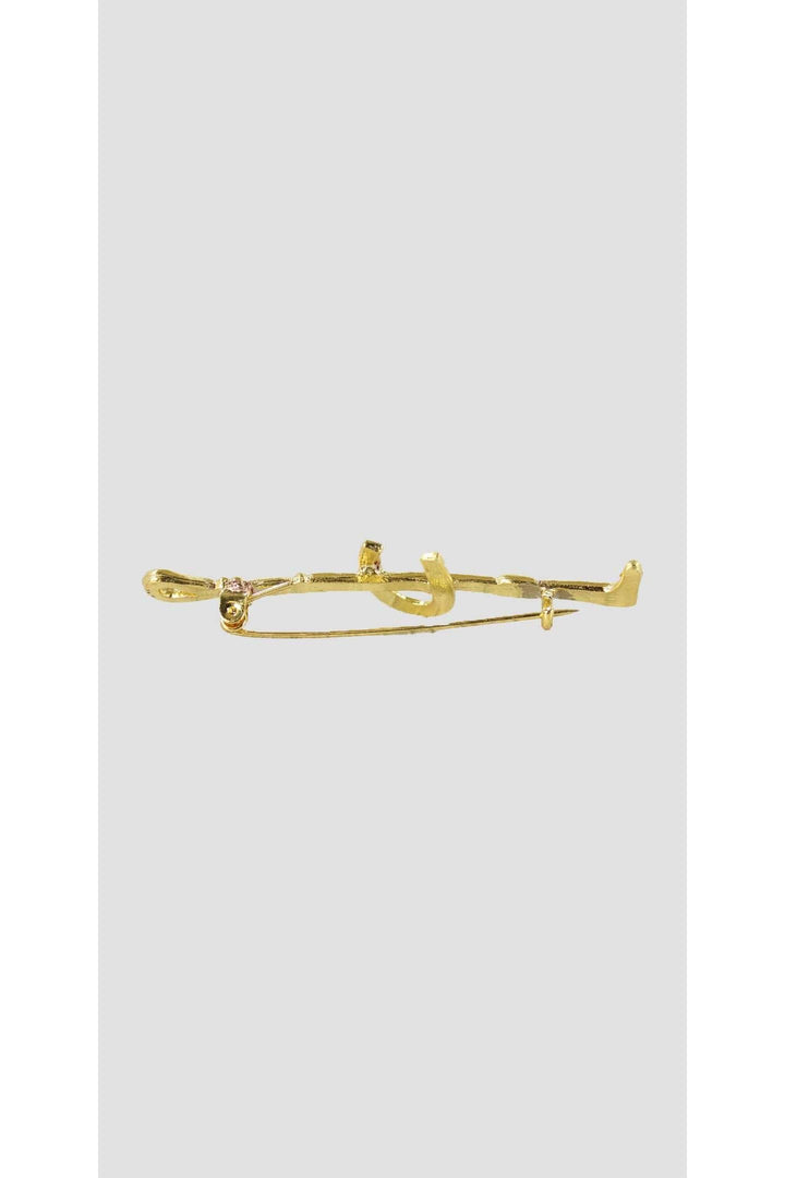 Gold Horseshoe Stock Pin