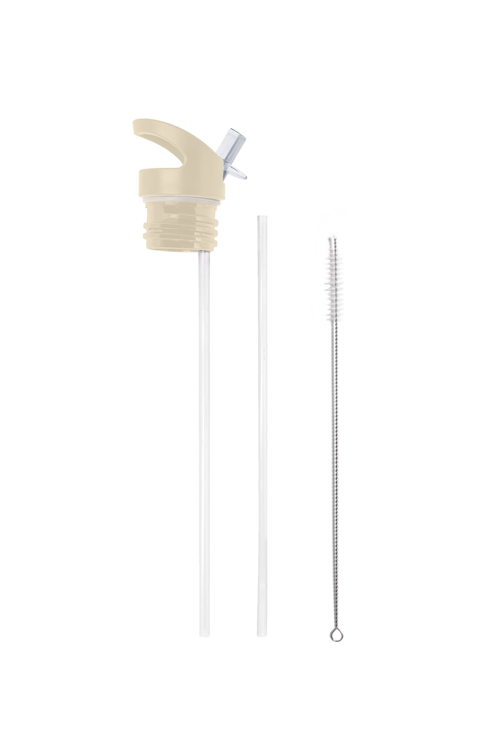 Bits & Bridles – Equestrian Insulated Water Bottle | 25oz: Black / No Tube