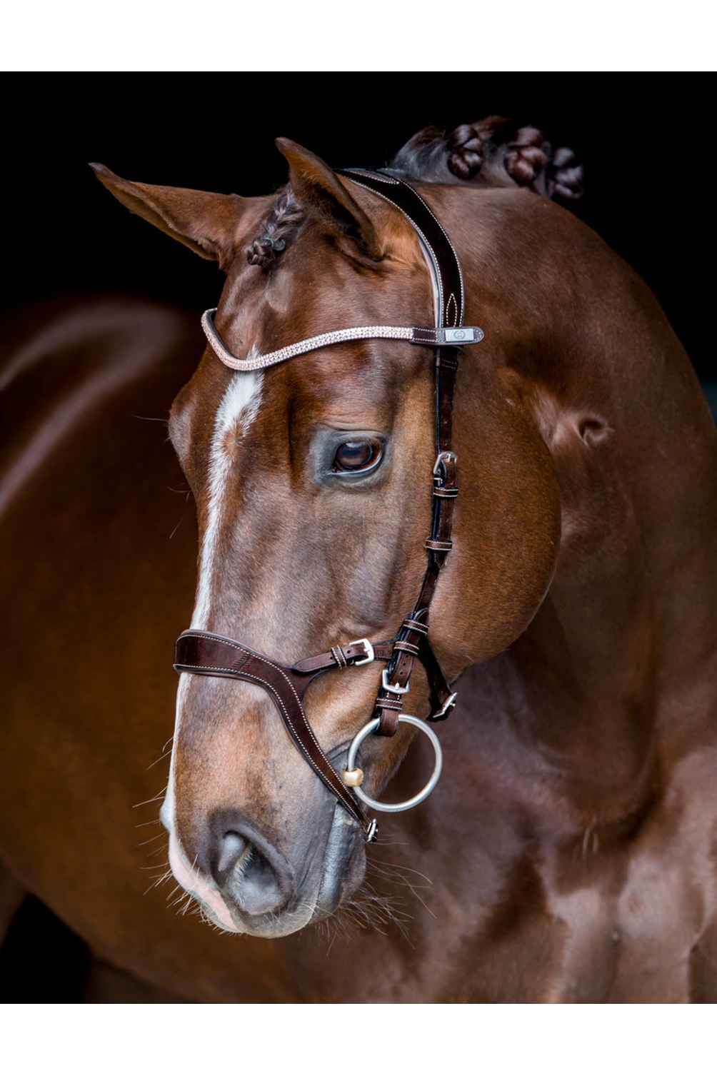 PS of Sweden - Nirak Bridle - Canterbury Saddlery