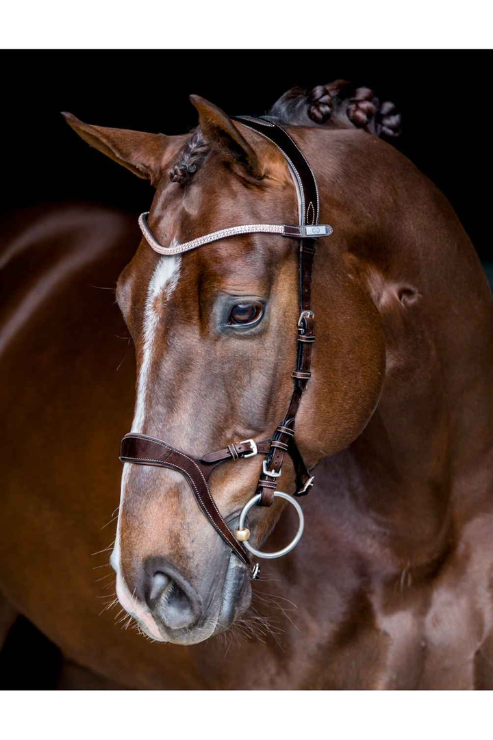 PS of Sweden - Nirak Bridle - Canterbury Saddlery