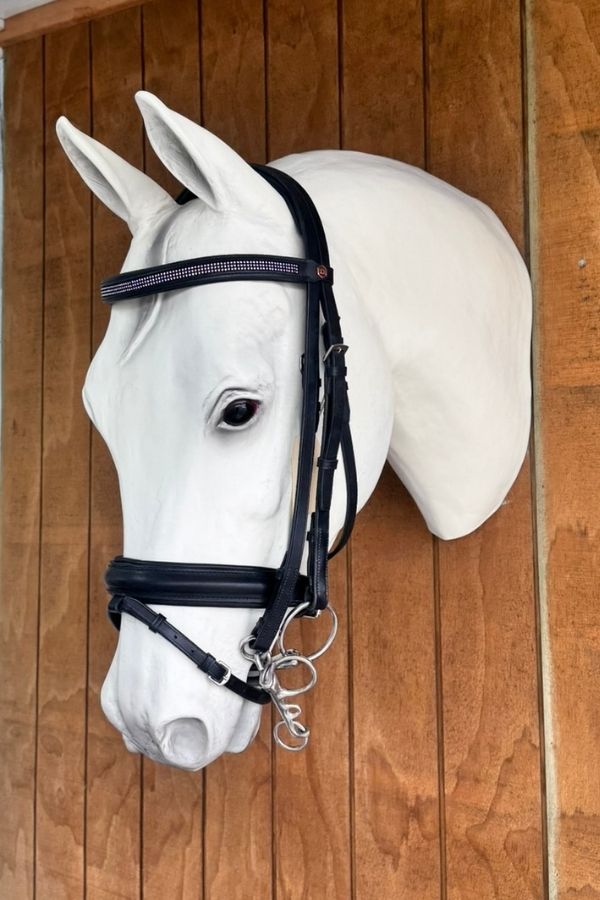 Albion Weymouth Bridle with Flash – Black (Full)