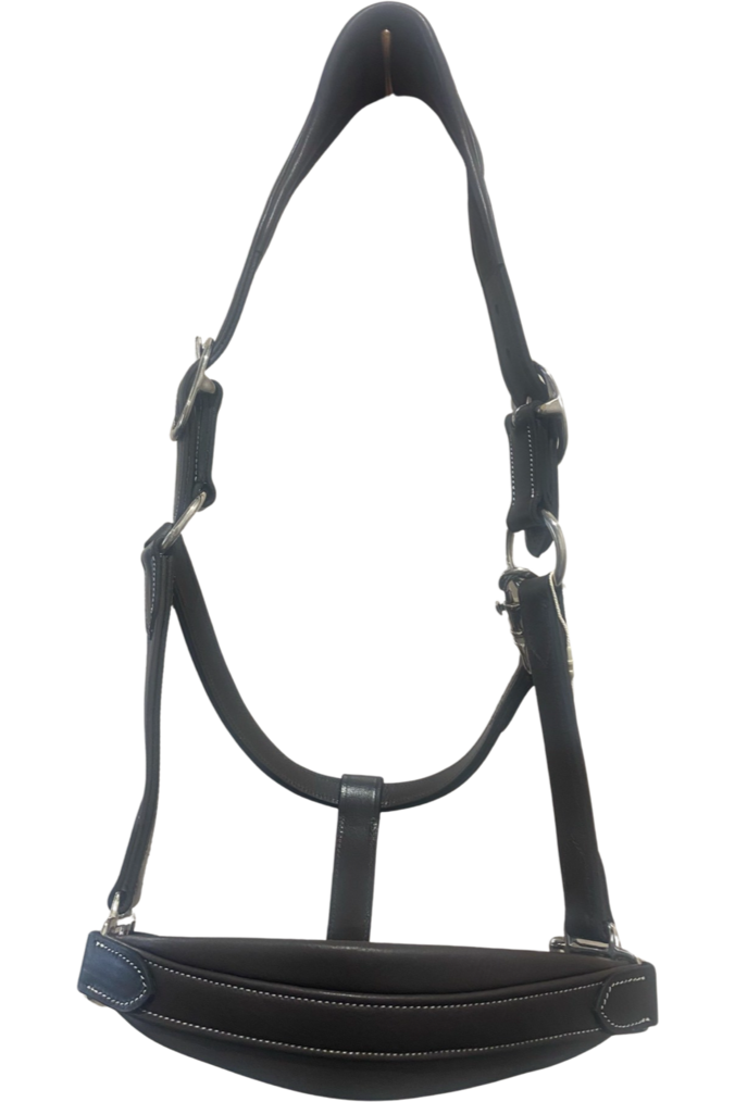 Étoile Deluxe Leather Comfort Halter - Canterbury Saddlery