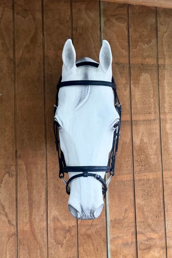 Jeffries Falcon Flash Noseband Bridle – Black
