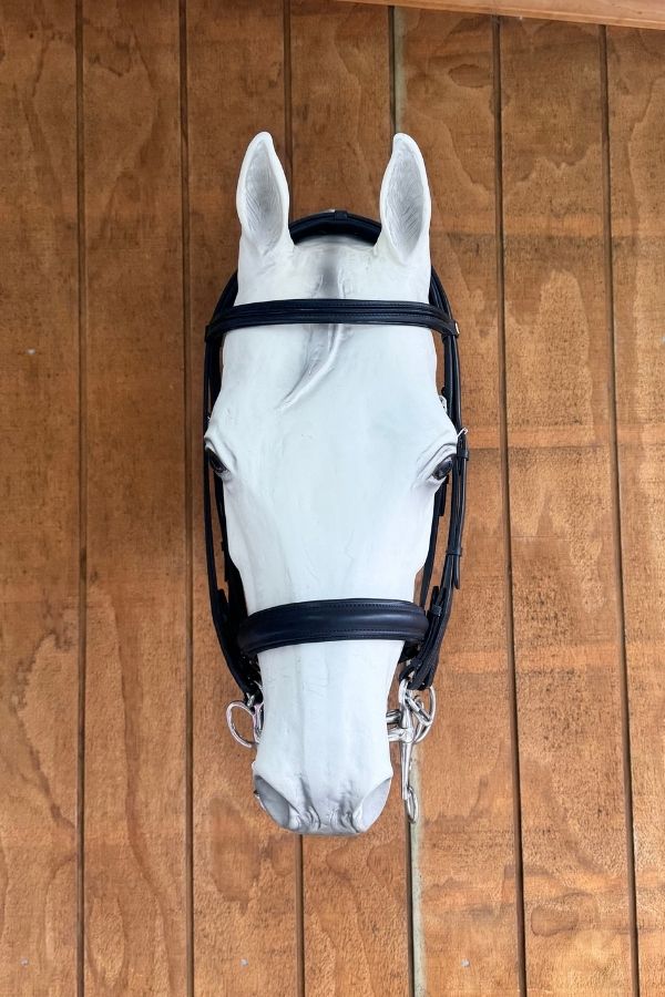 Albion Weymouth Bridle with Crank Noseband – Black (Full, with Reins)