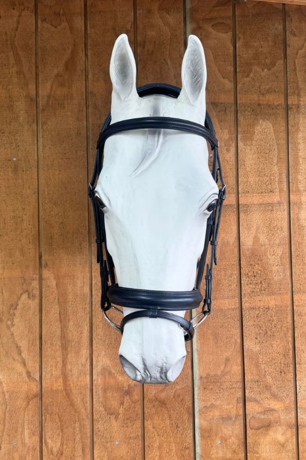 Albion Snaffle Bridle with Flash – Black (Full)