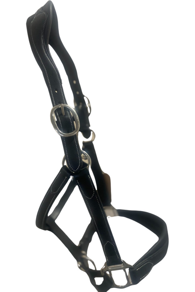 Étoile Deluxe Leather Comfort Halter - Canterbury Saddlery