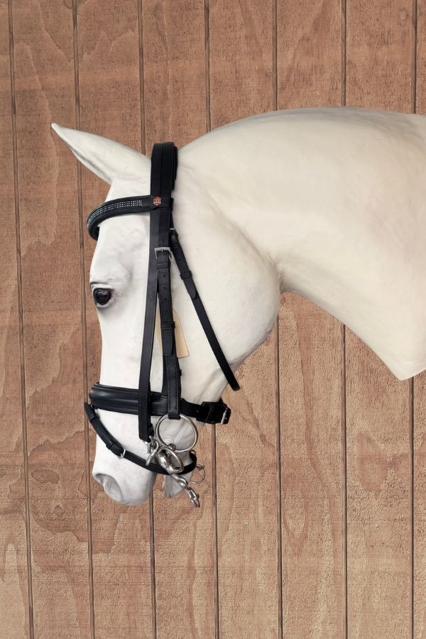 Albion Weymouth Bridle with Flash – Black (Full)