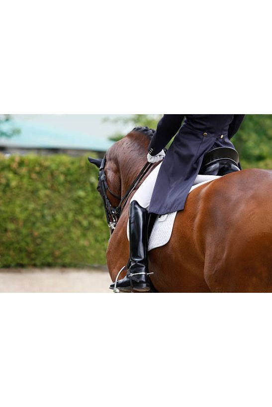 Gymkhana Plaiting Bands